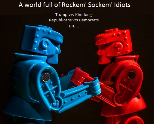 A world full of Rockem' Sockem' Idiots